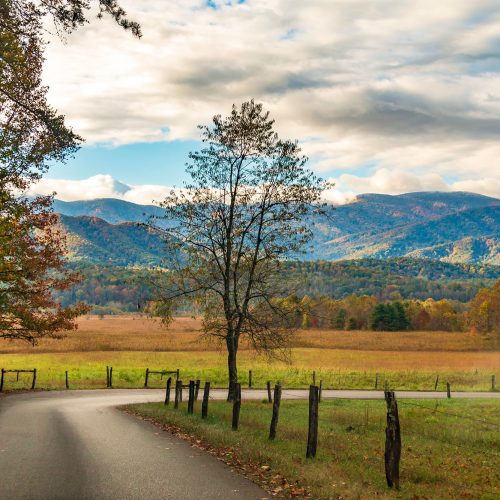 Vibrant autumn landscape
