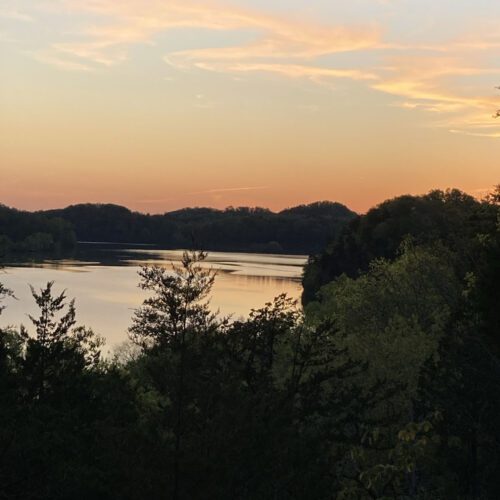 Trees and mountain view